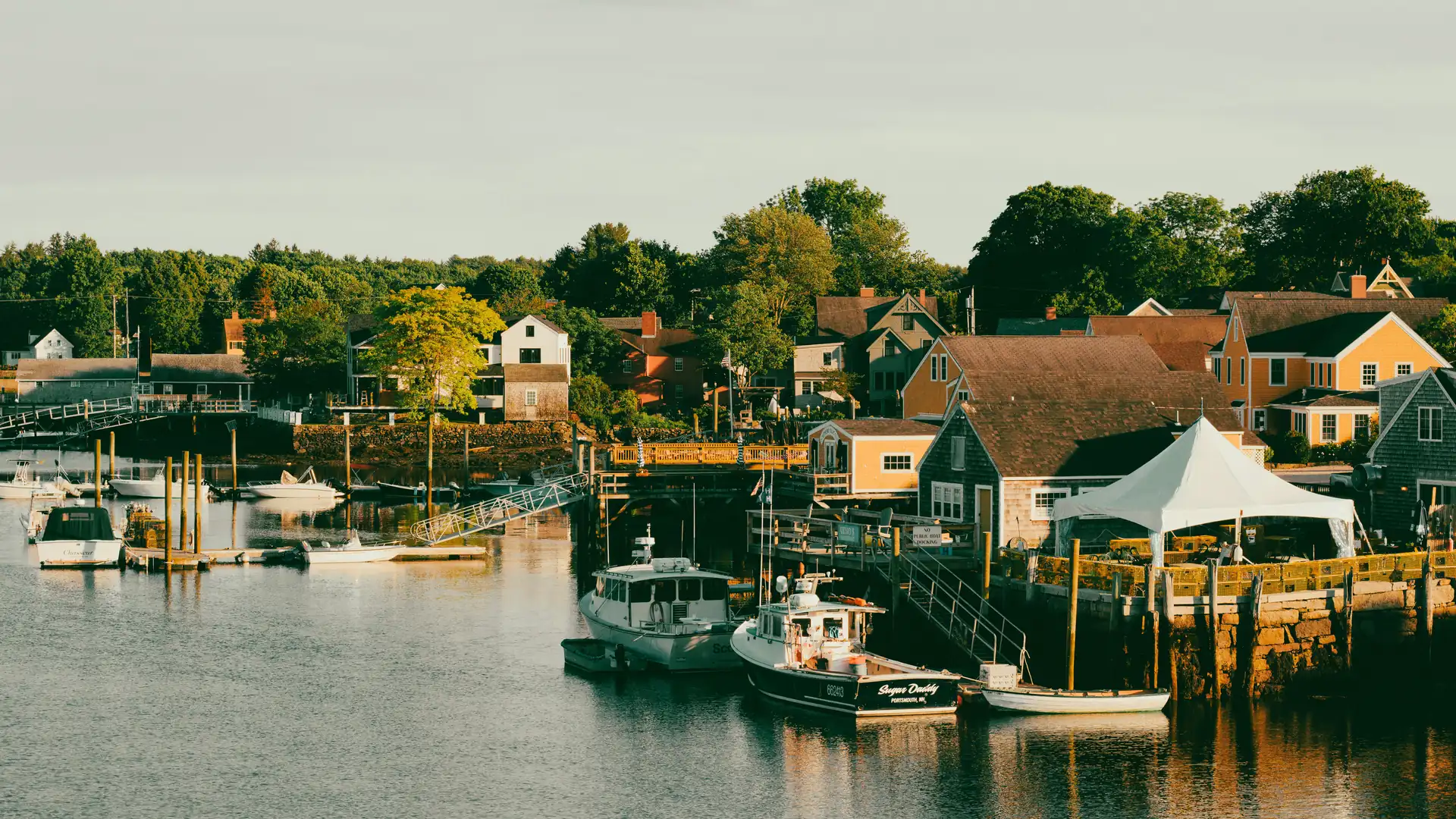 Scene in New Hampshire