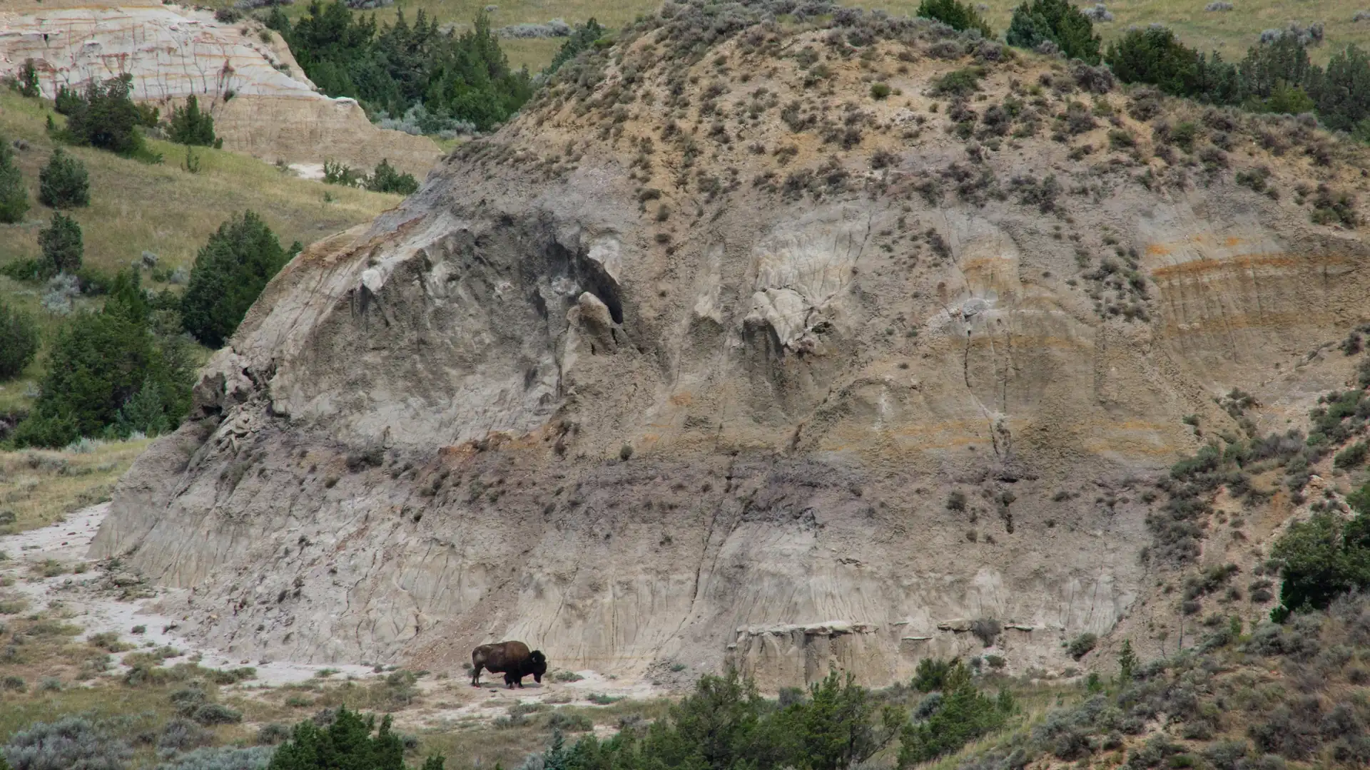 Scene in North Dakota